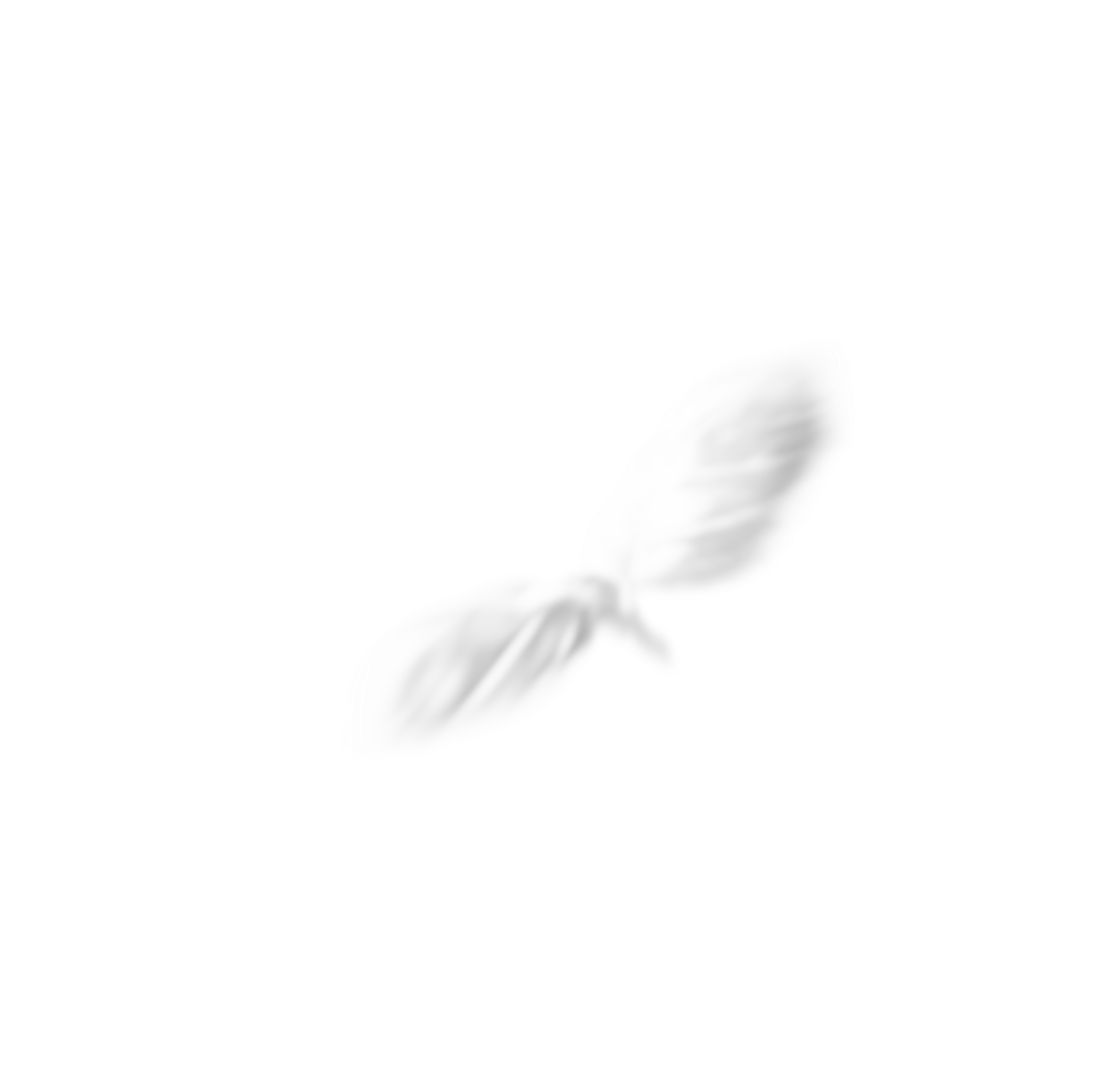 lips-image